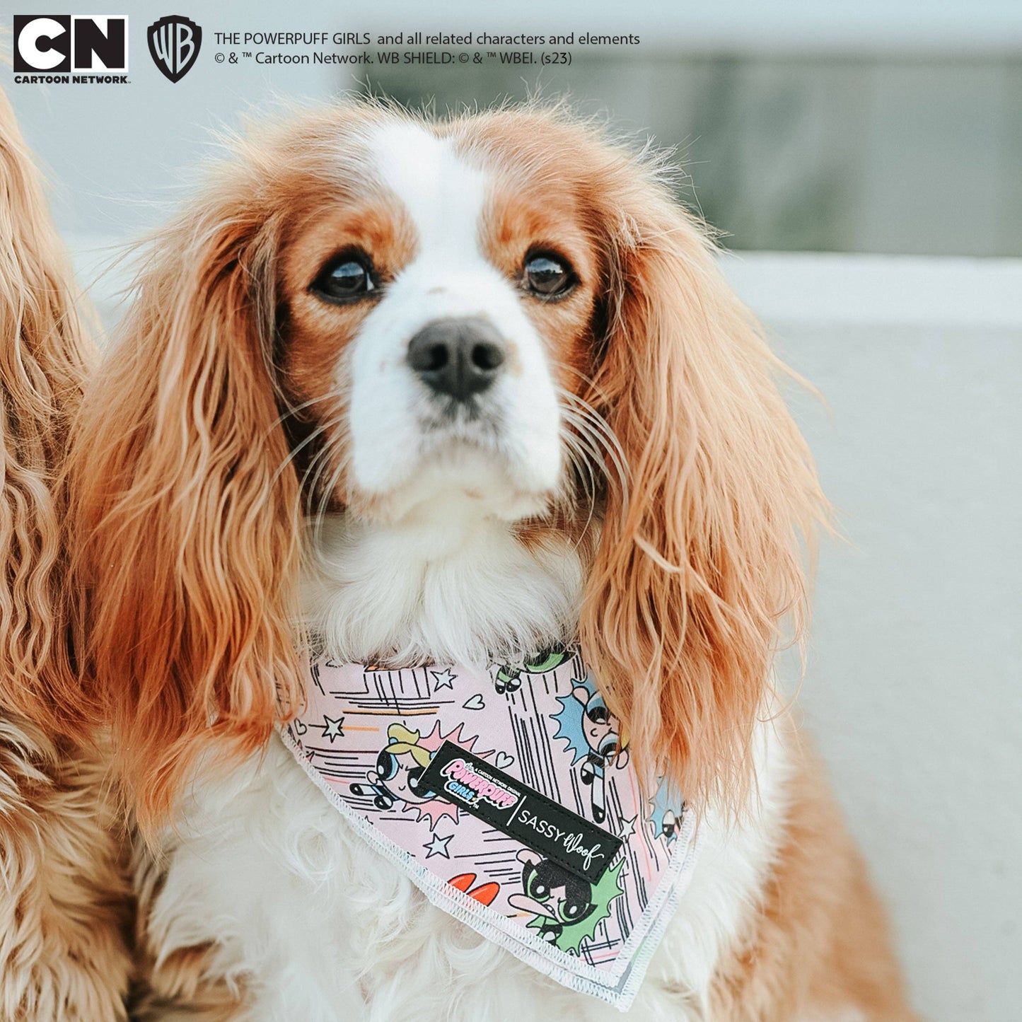 Dog Bandana - The Powerpuff Girls™ (Pink)