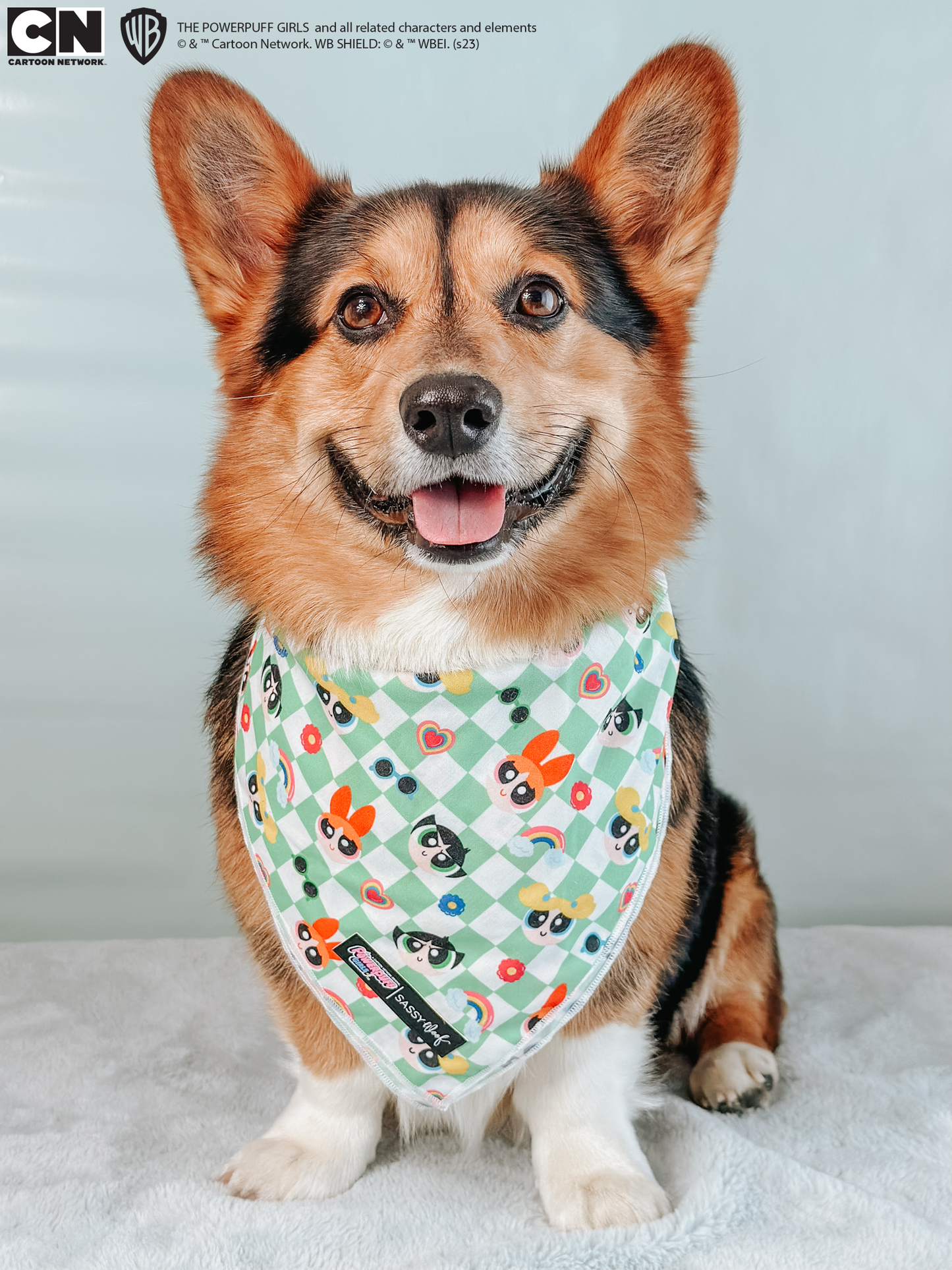 Dog Bandana - The Powerpuff Girls™ (Green)