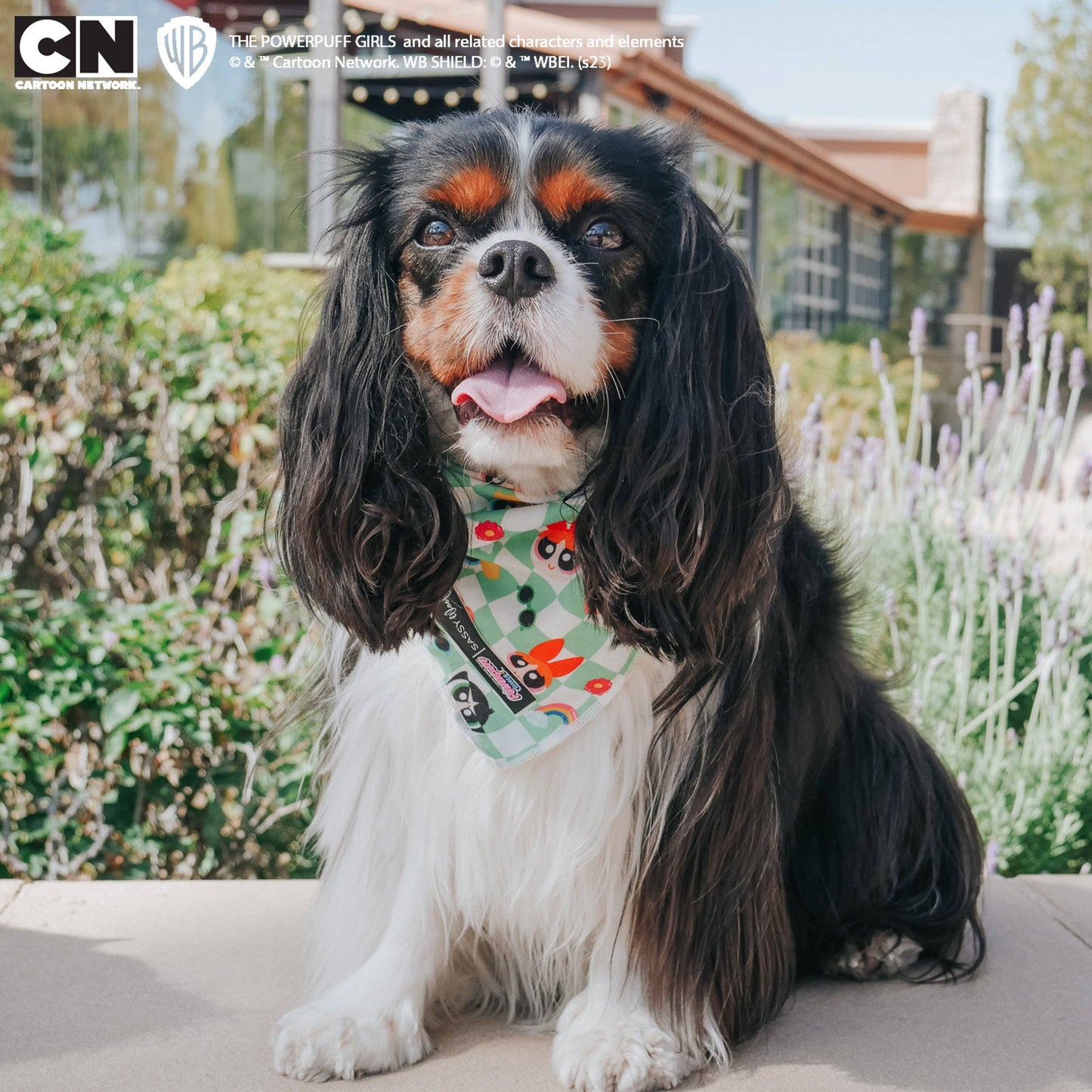 Dog Bandana - The Powerpuff Girls™ (Green)