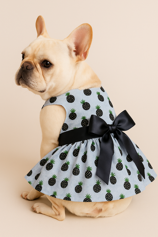 Blackberries Dog Dress