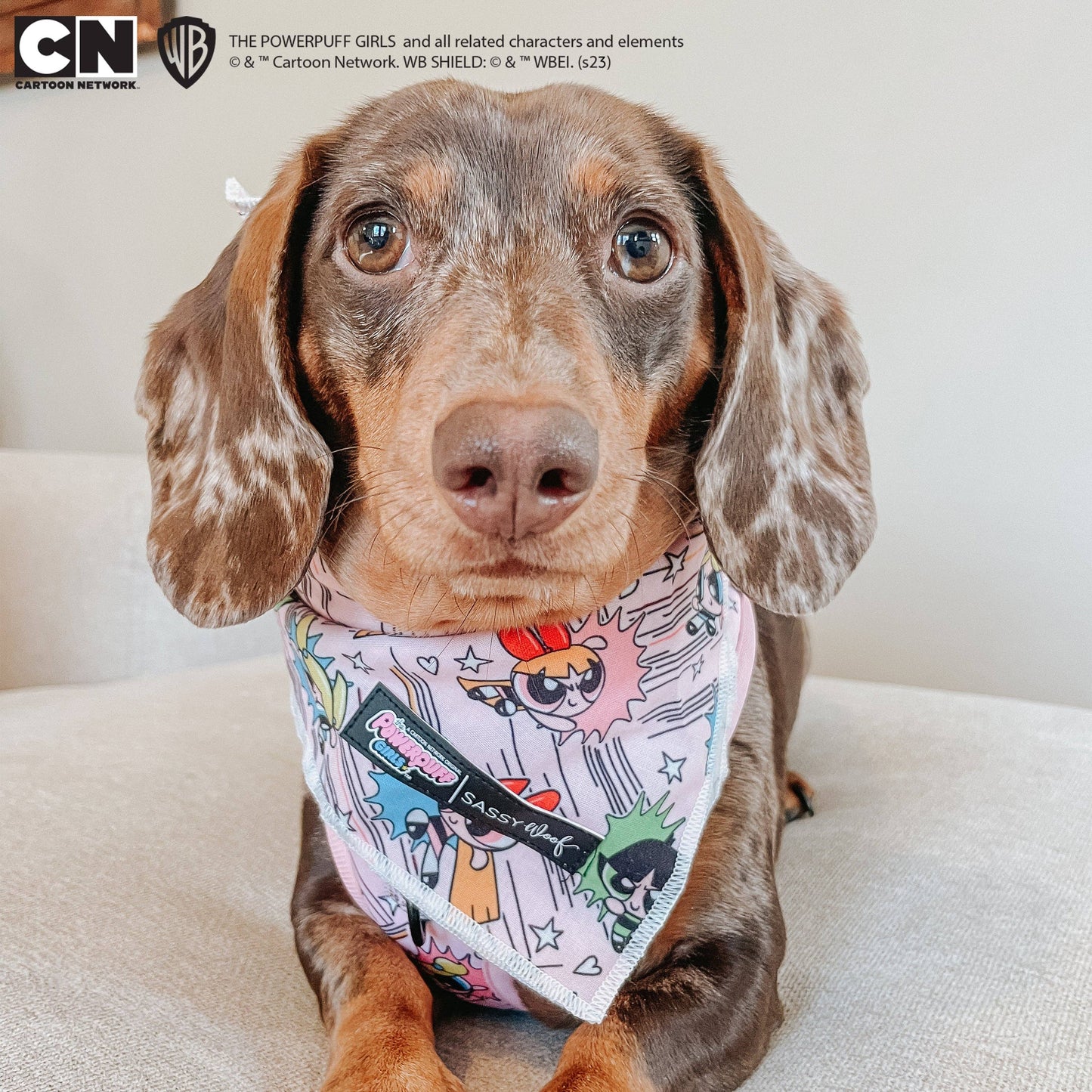 Dog Bandana - The Powerpuff Girls™ (Pink)