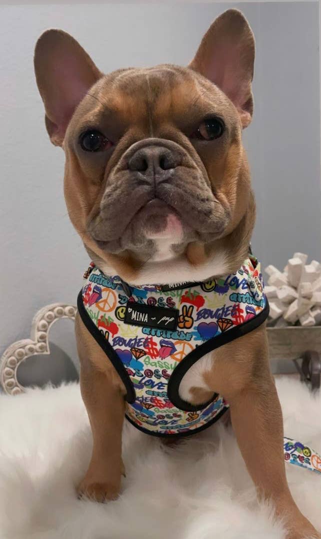 Graffiti Edition Adjustable Dog Collar