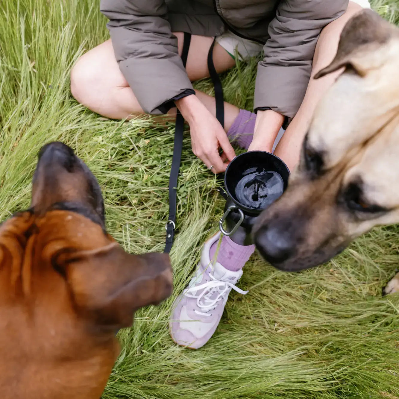 Dog Travel Flip Silicone Water Bottle 20oz