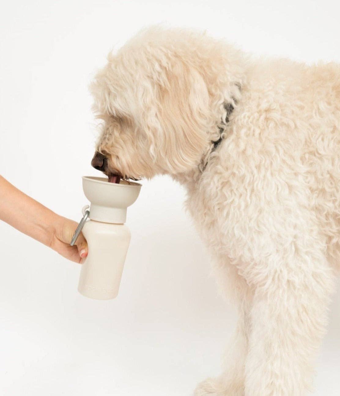 Dog Travel Flip Silicone Water Bottle 20oz