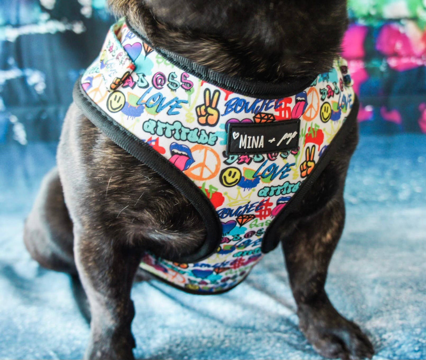 Colorful Graffiti Edition Adjustable Dog Harness