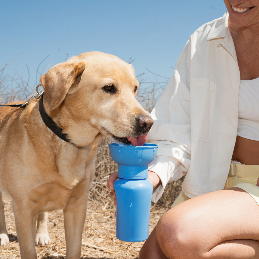 Dog Travel Flip Silicone Water Bottle 20oz