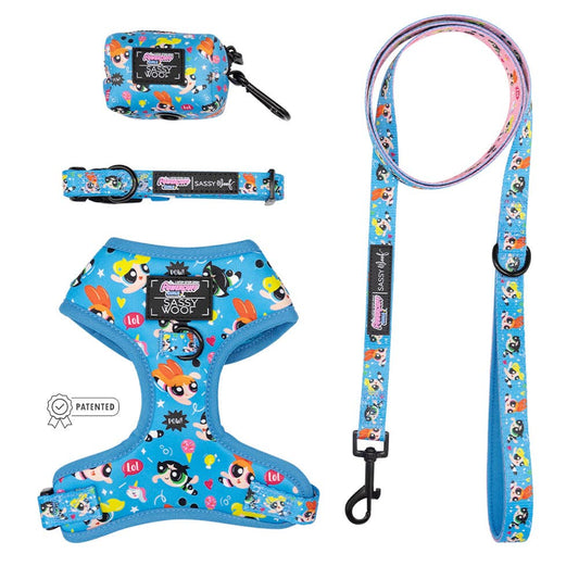 Dog Bundle - The Powerpuff Girls™ (Blue)