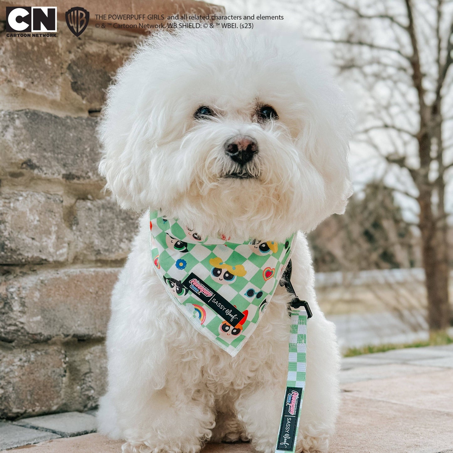 Dog Bandana - The Powerpuff Girls™ (Green)