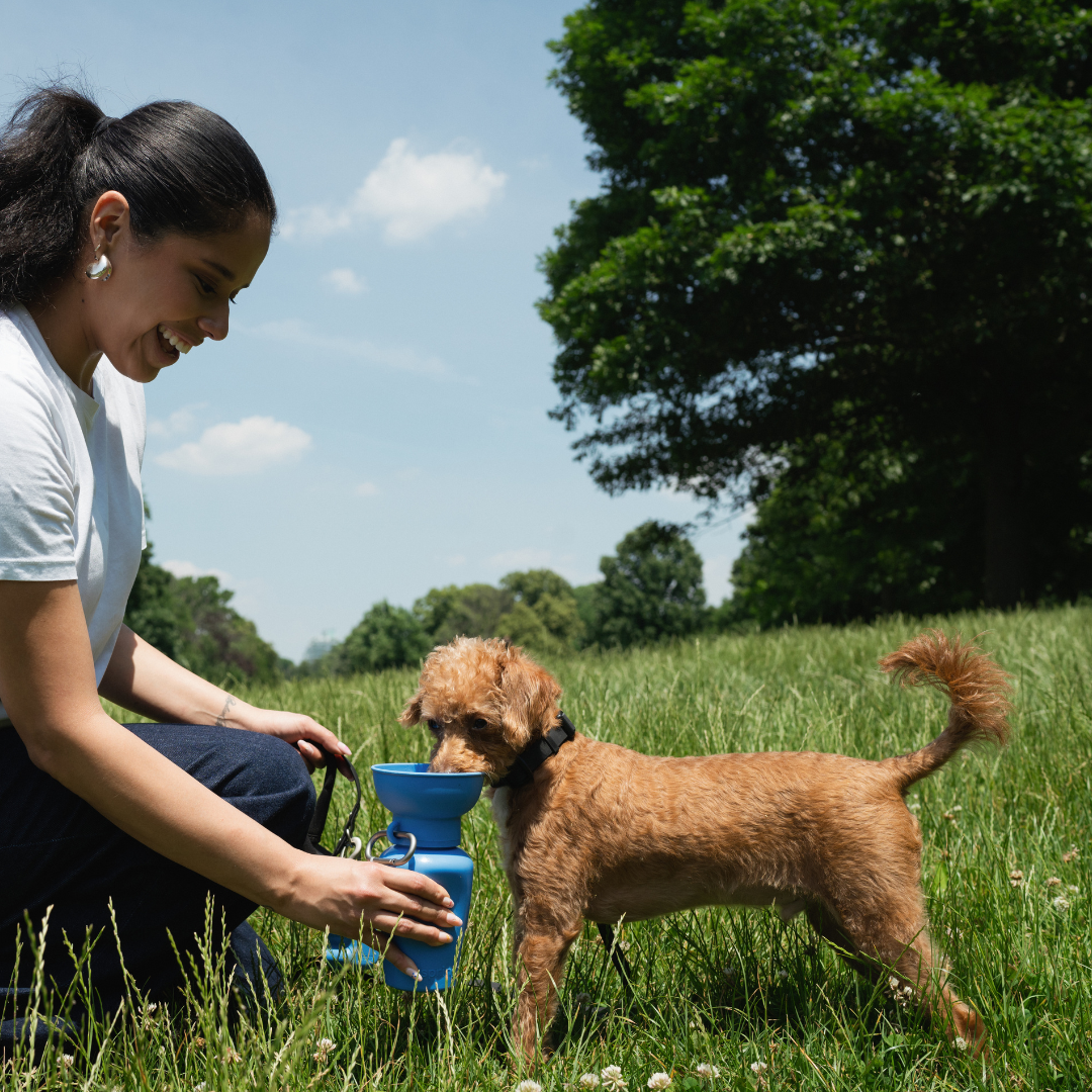 Dog Travel Flip Silicone Water Bottle 20oz