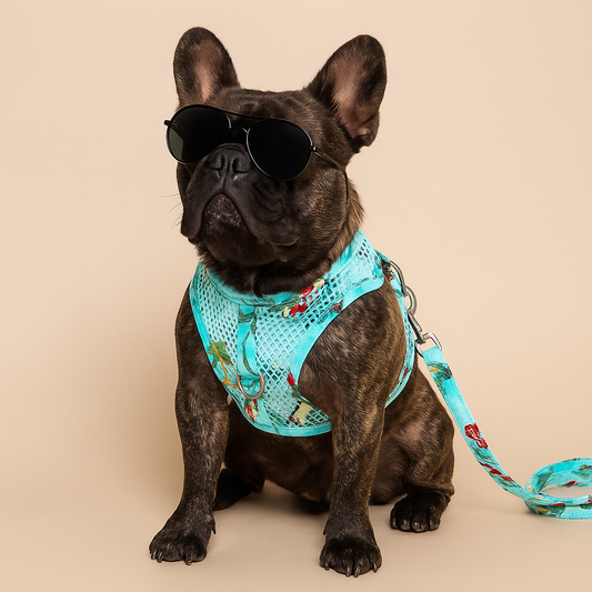 Cool Mesh Dog Harness - Surfboards & Palms