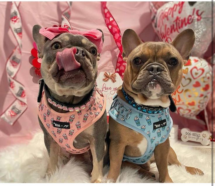 Pink Pupshake Adjustable Dog Harness