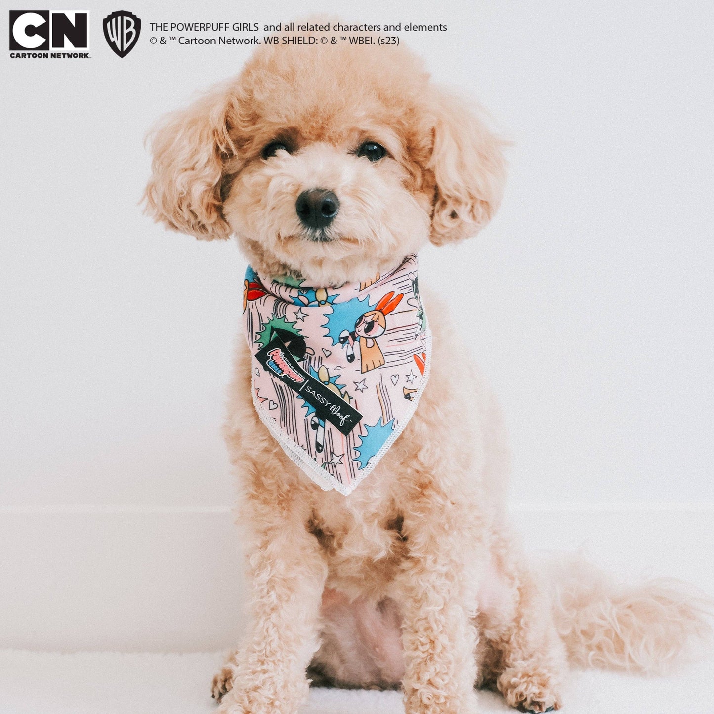 Dog Bandana - The Powerpuff Girls™ (Pink)