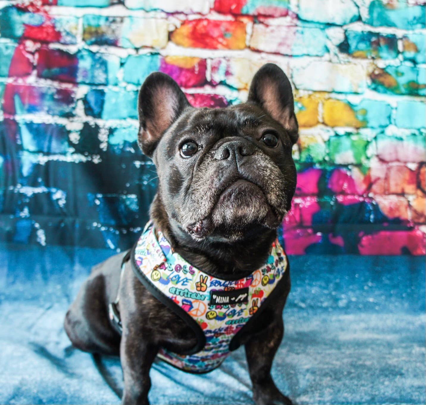 Colorful Graffiti Edition Adjustable Dog Harness