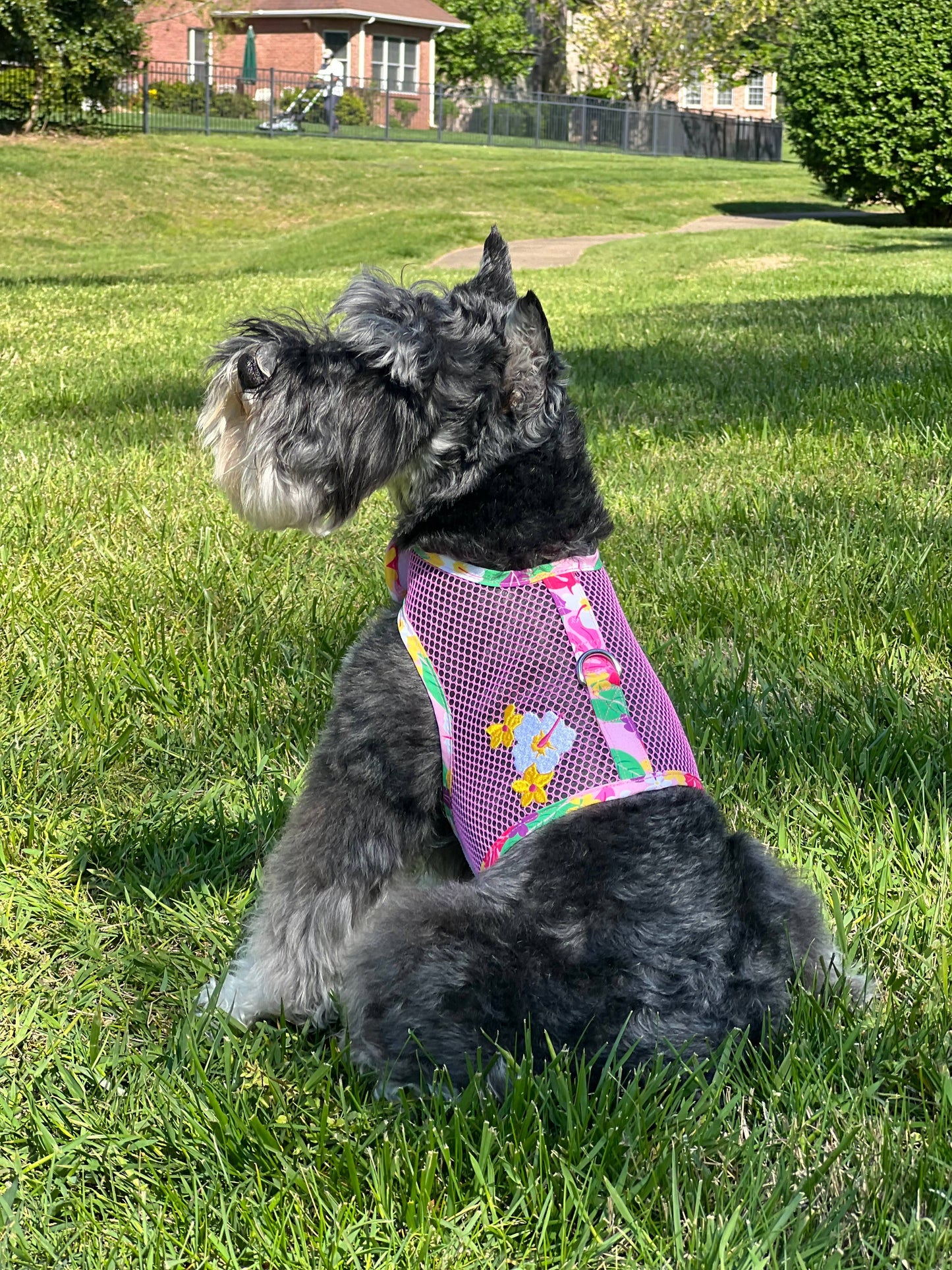 Cool Mesh Dog Harness - Pink Hawaiian Floral