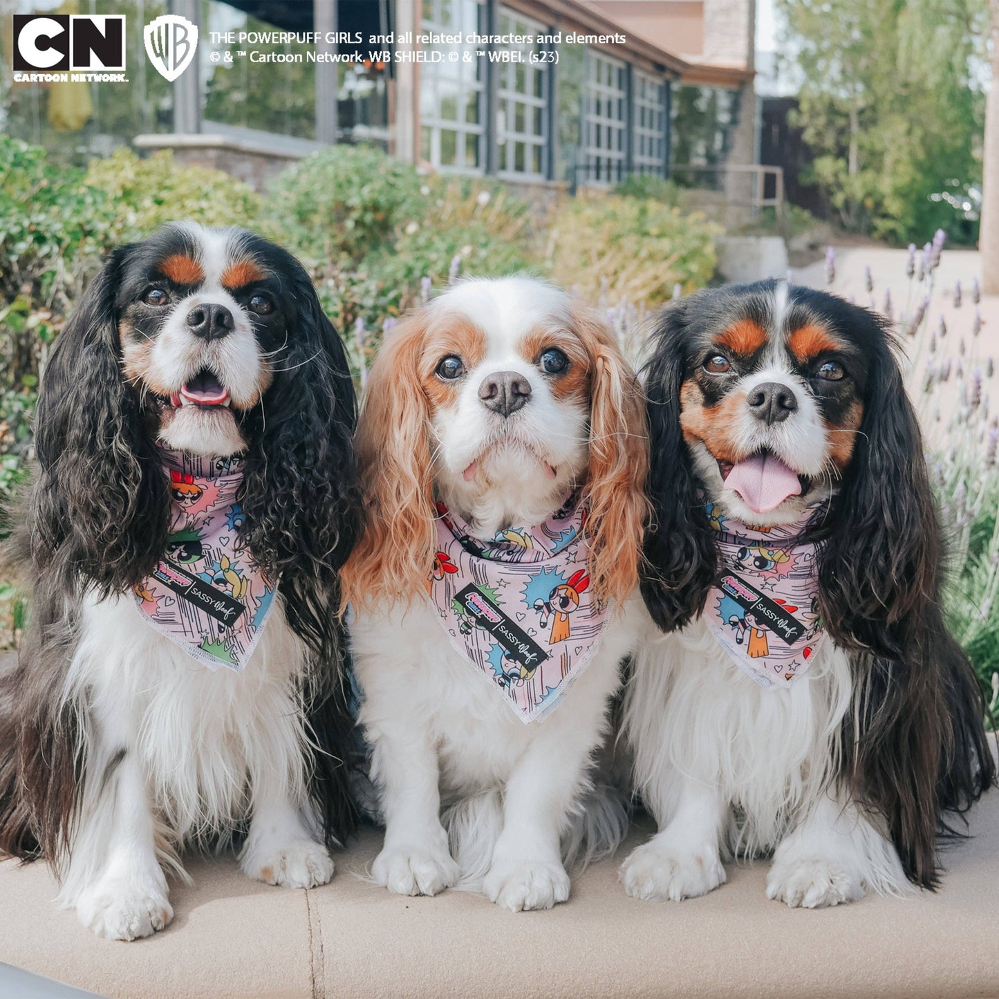 Dog Bandana - The Powerpuff Girls™ (Pink)