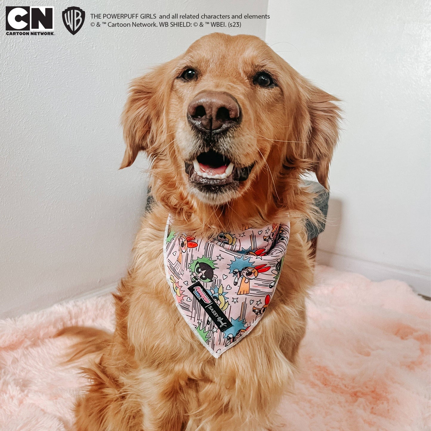 Dog Bandana - The Powerpuff Girls™ (Pink)