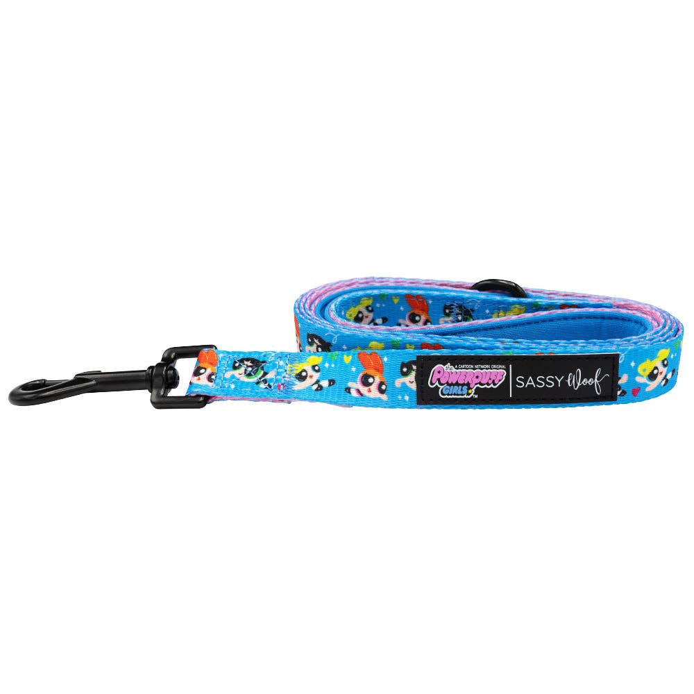 Dog Bundle - The Powerpuff Girls™ (Blue)