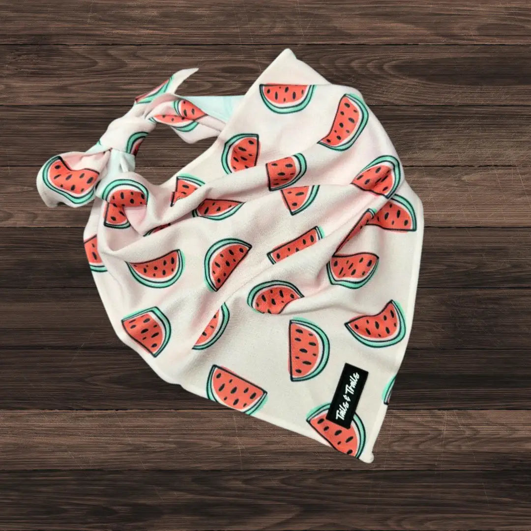 Watermelon Cooling Bandana