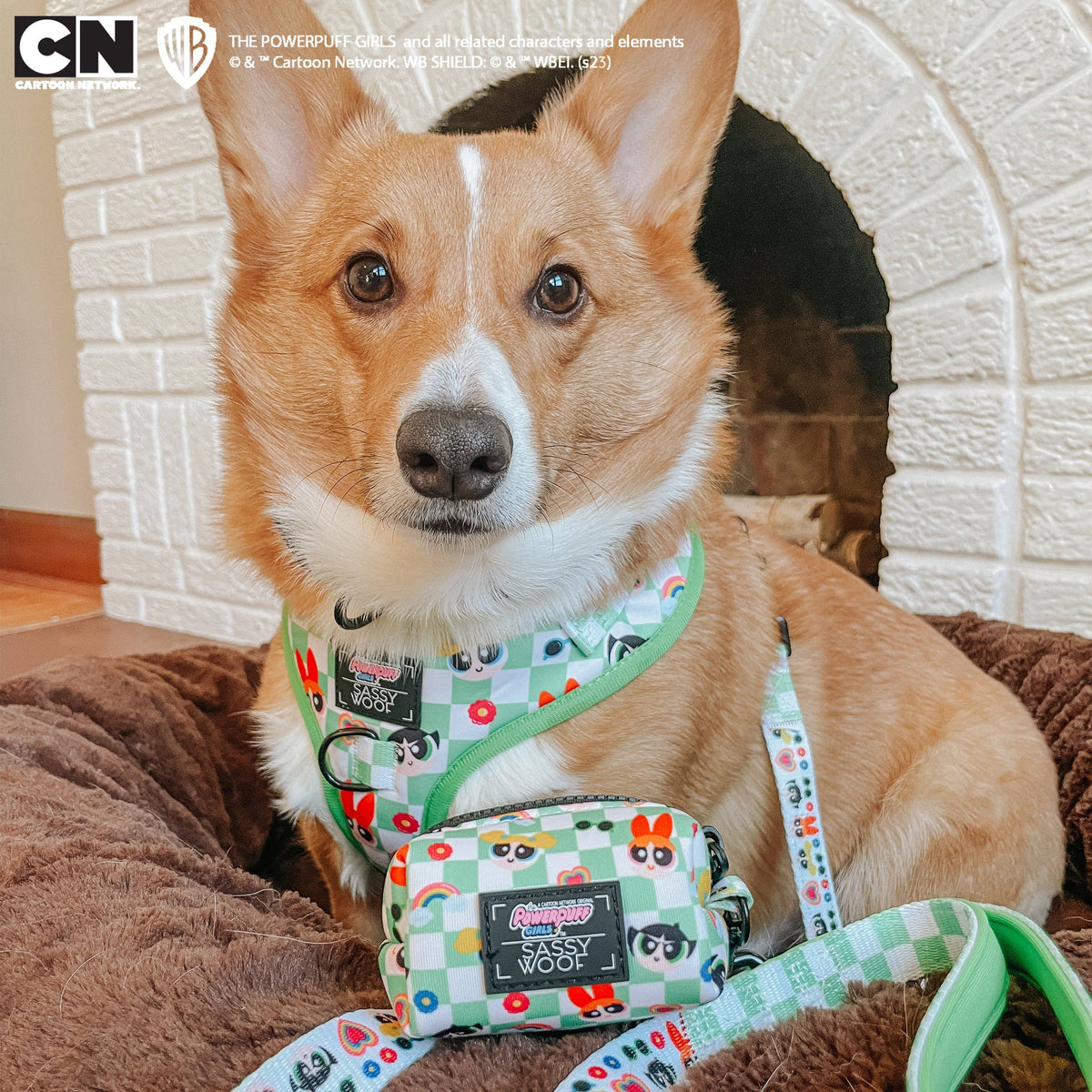 Dog Bundle - The Powerpuff Girls™ (Green)