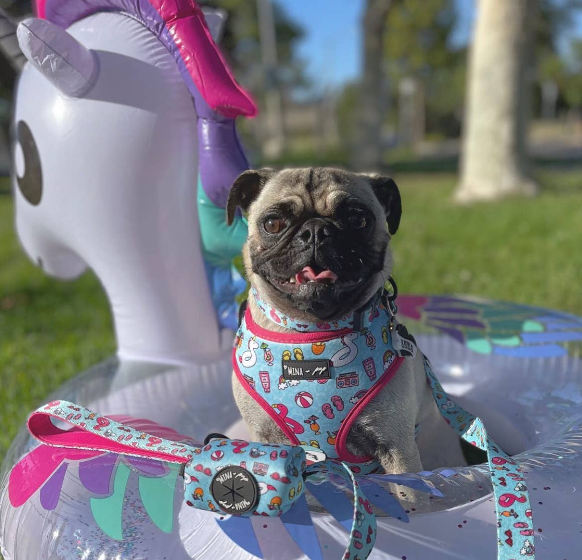 Pool Day- 5 Foot Comfort Leash Double Sided Two Prints
