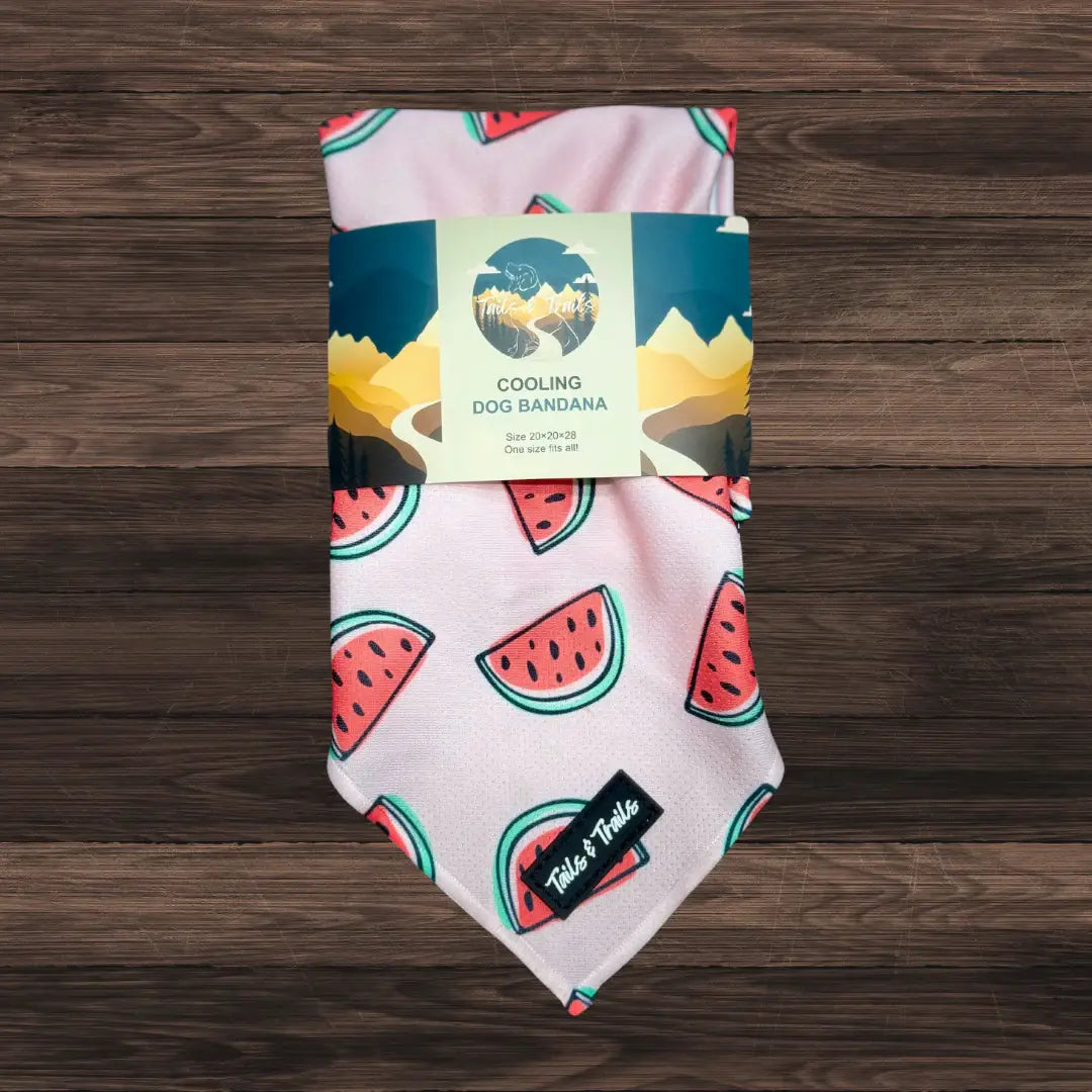 Watermelon Cooling Bandana