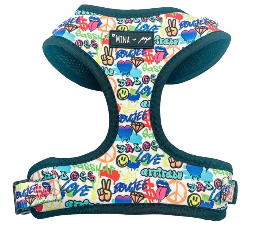 Graffiti Harness & Collar