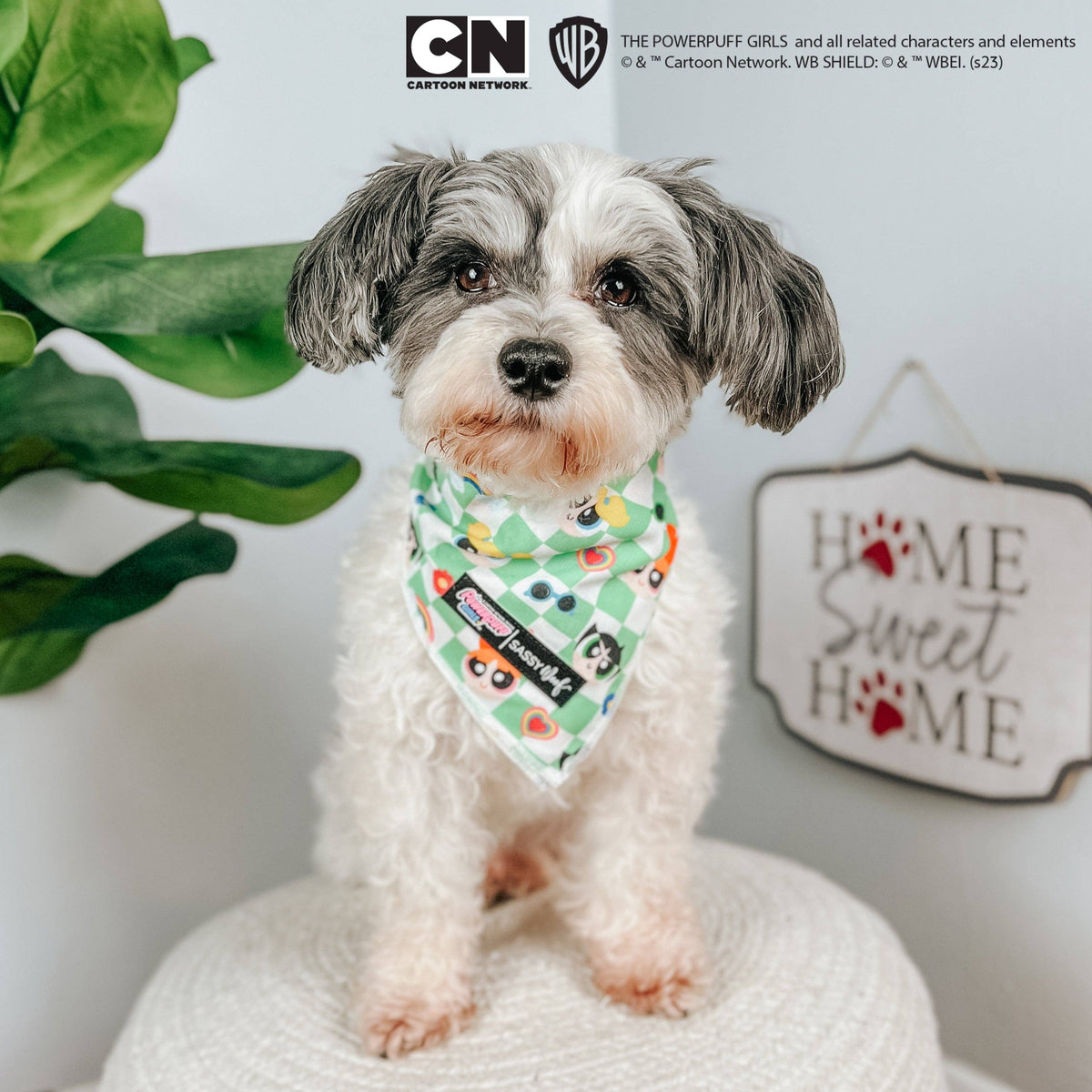 Dog Bandana - The Powerpuff Girls™ (Green)