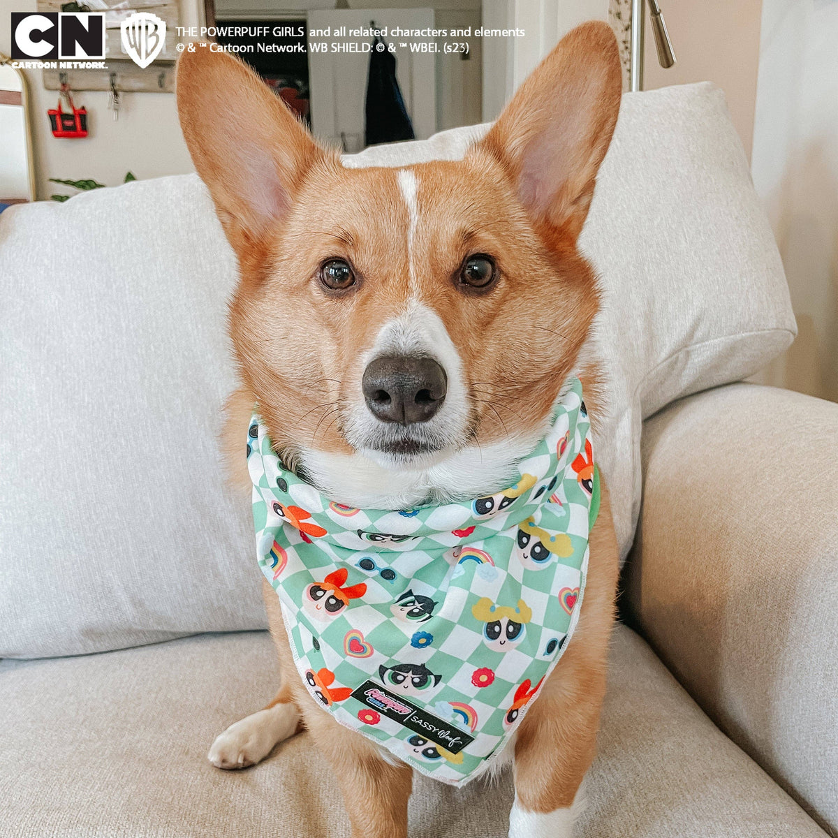 Dog Bandana - The Powerpuff Girls™ (Green)