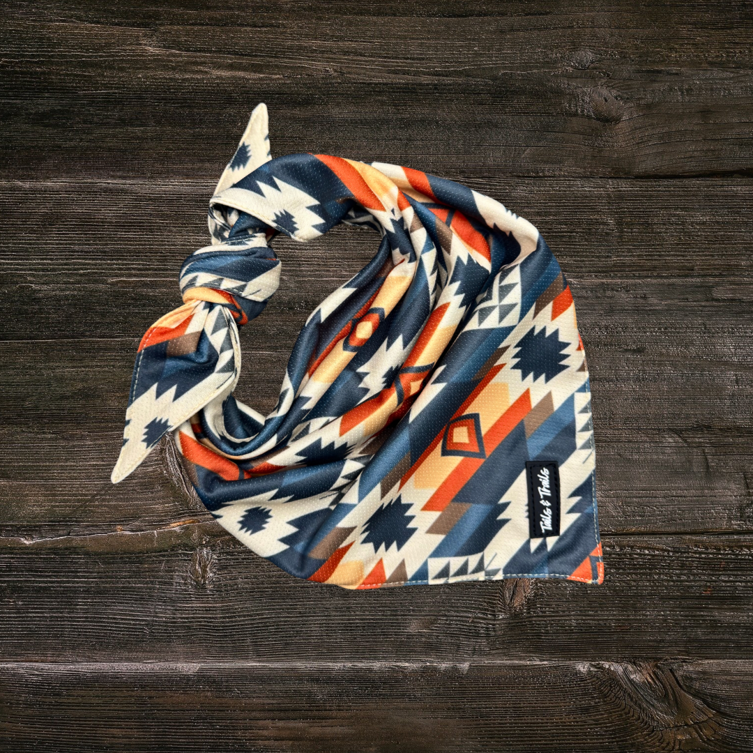Mayan Cooling Bandana