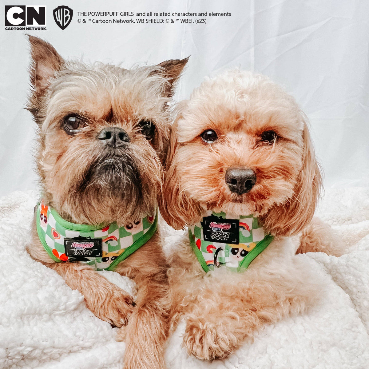Dog Bundle - The Powerpuff Girls™ (Green)
