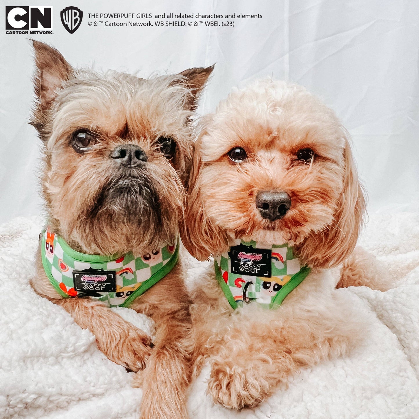 Dog Bundle - The Powerpuff Girls™ (Green)