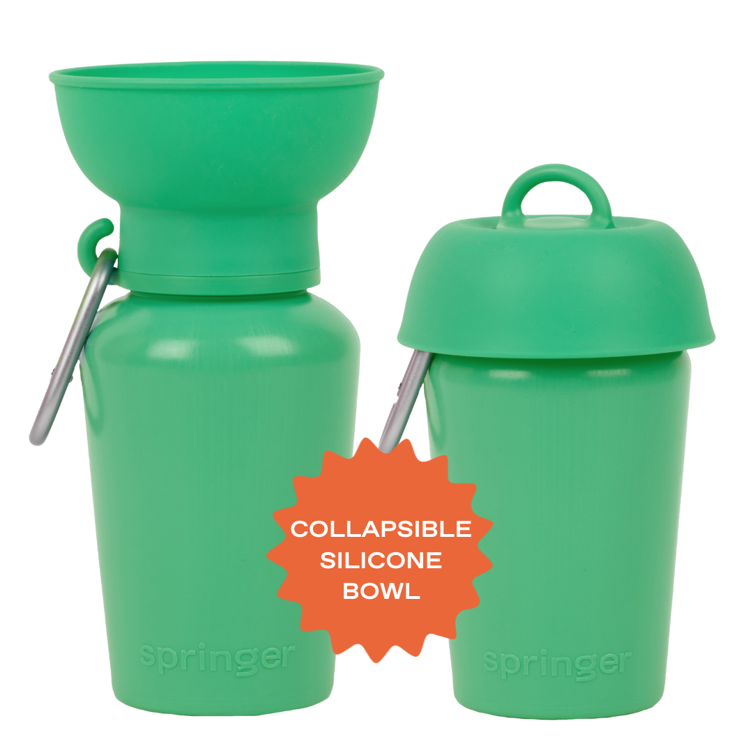 Dog Travel Flip Silicone Water Bottle 20oz