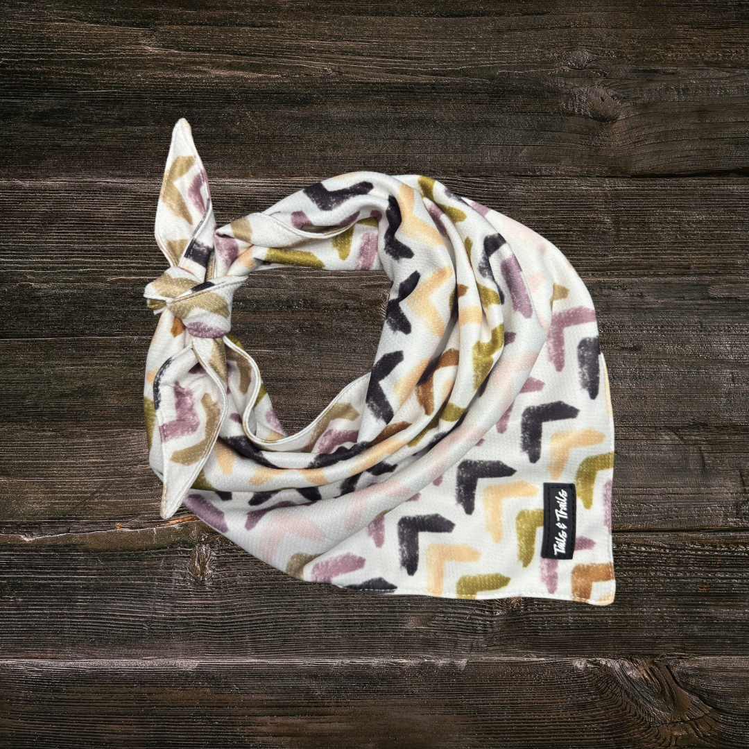 Arrow Cooling Bandana