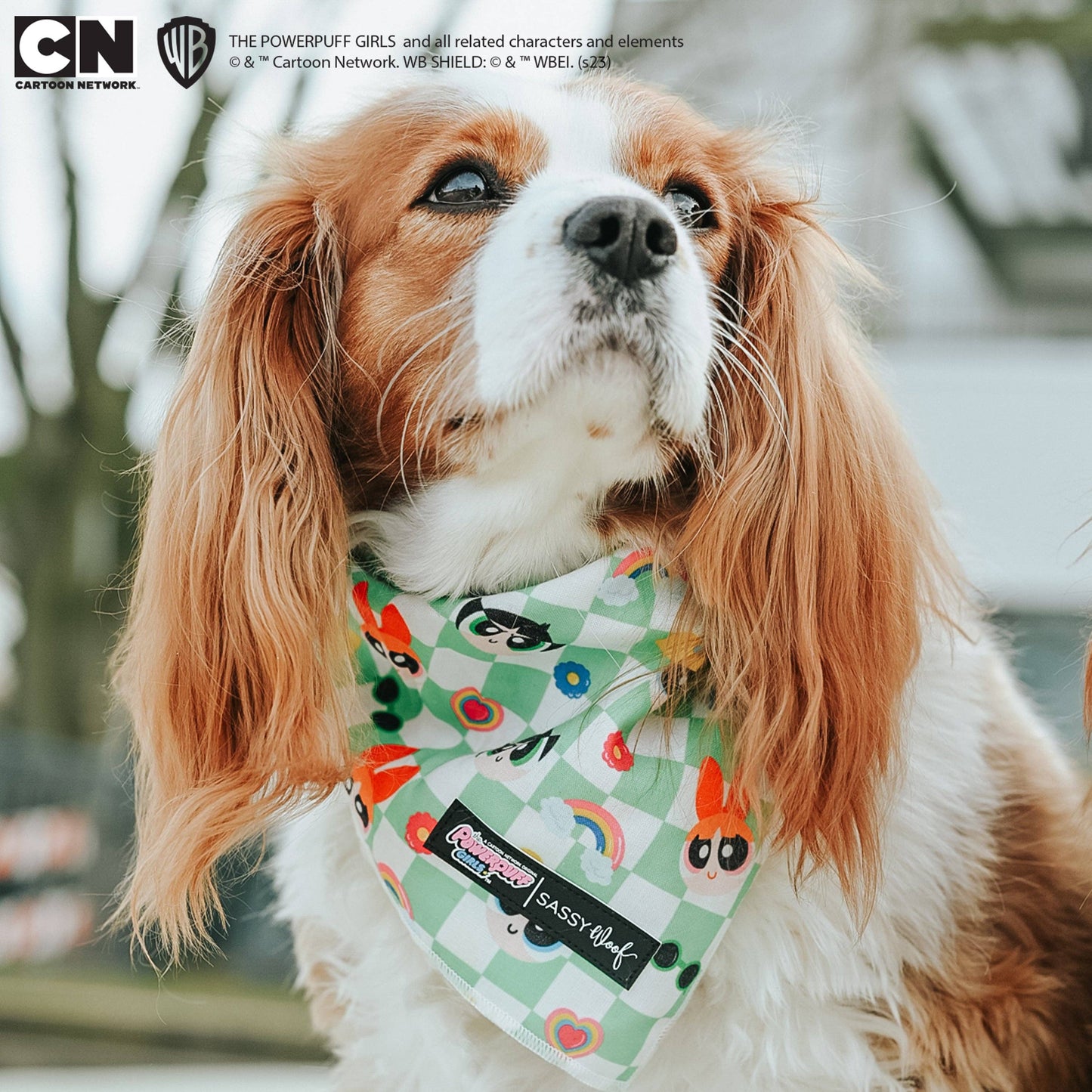 Dog Bandana - The Powerpuff Girls™ (Green)