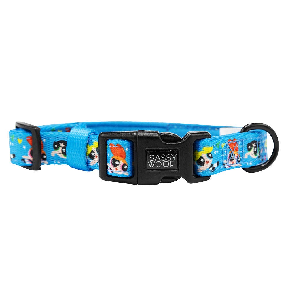 Dog Bundle - The Powerpuff Girls™ (Blue)