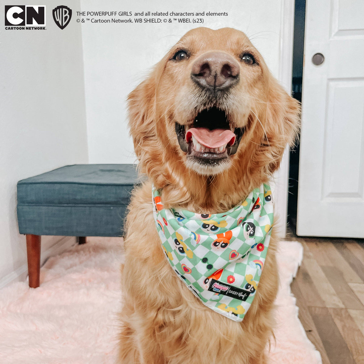 Dog Bandana - The Powerpuff Girls™ (Green)