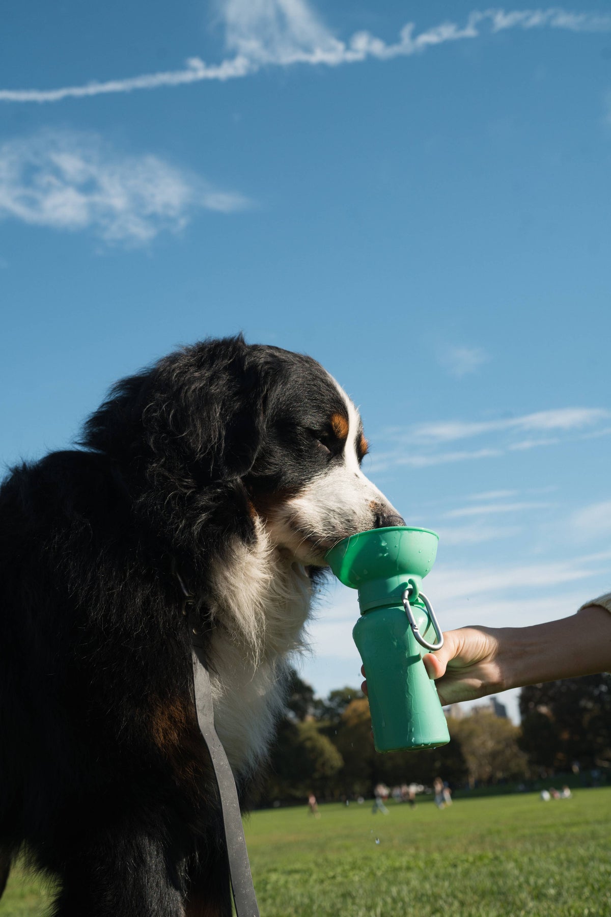 Dog Travel Flip Silicone Water Bottle 20oz