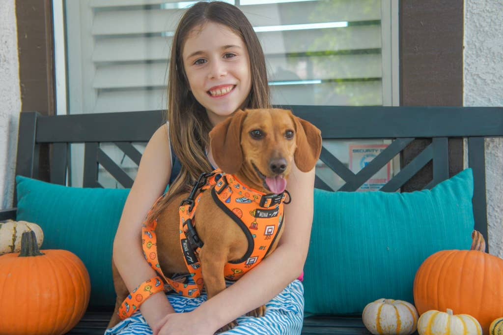 Sports Adjustable Dog Harness