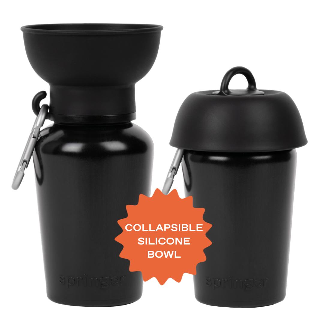 Dog Travel Flip Silicone Water Bottle 20oz