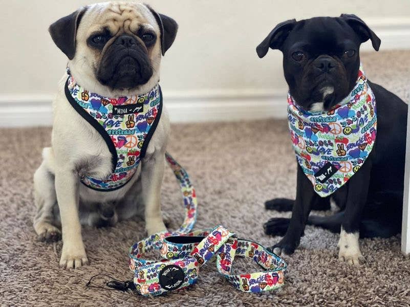 Graffiti Edition Adjustable Dog Collar