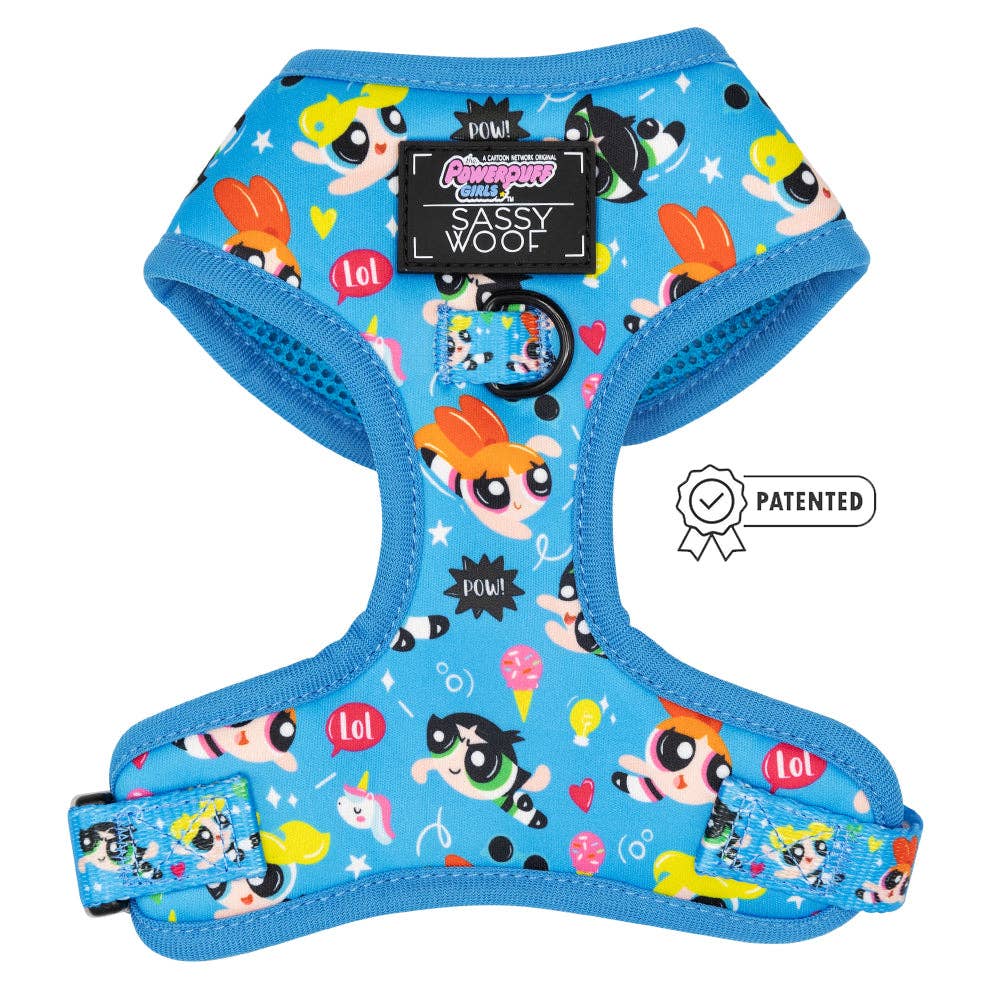 Dog Bundle - The Powerpuff Girls™ (Blue)