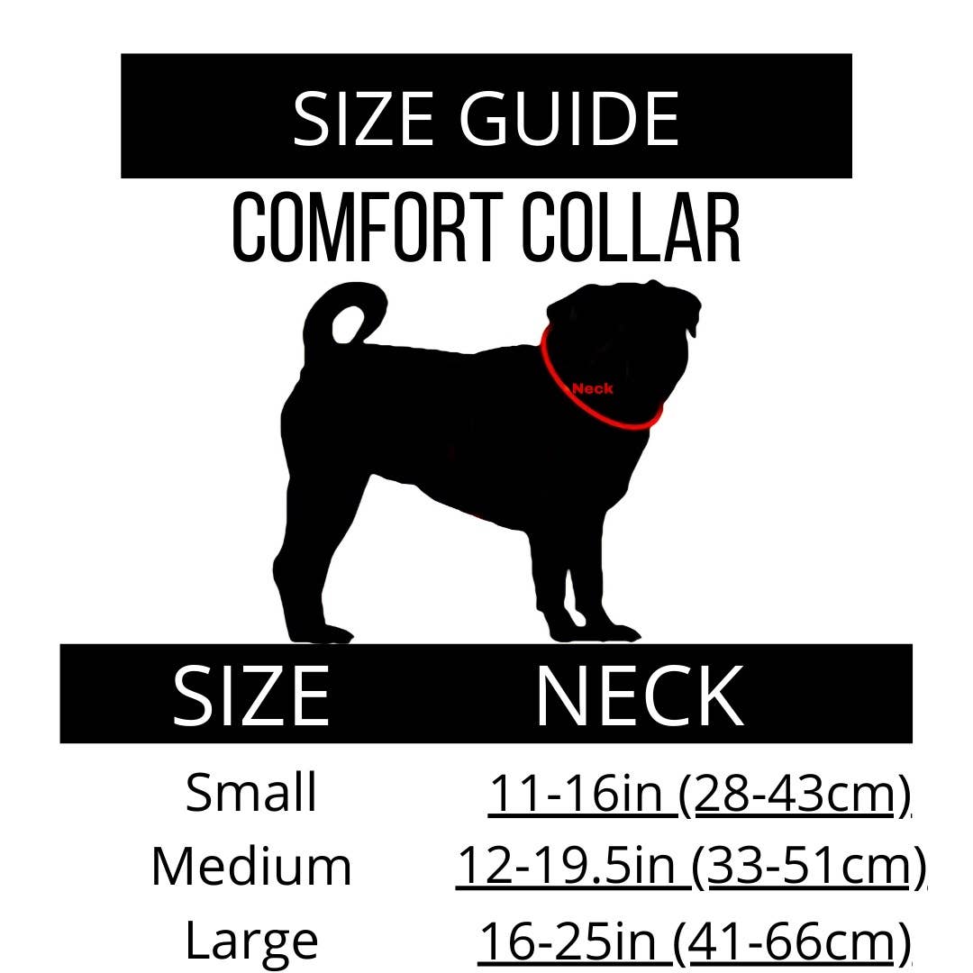 Sports Lovers Adjustable Dog Collar