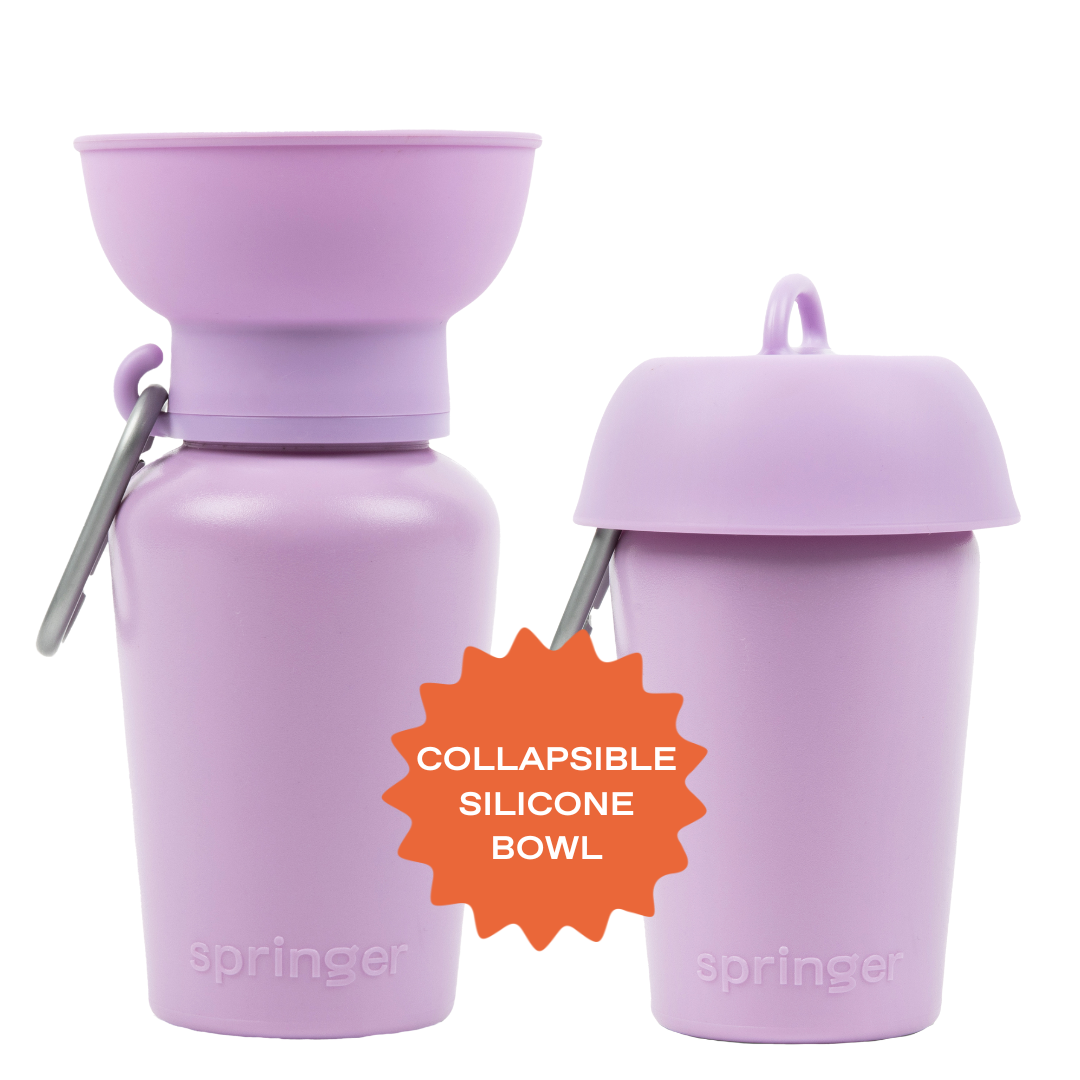 Dog Travel Flip Silicone Water Bottle 20oz